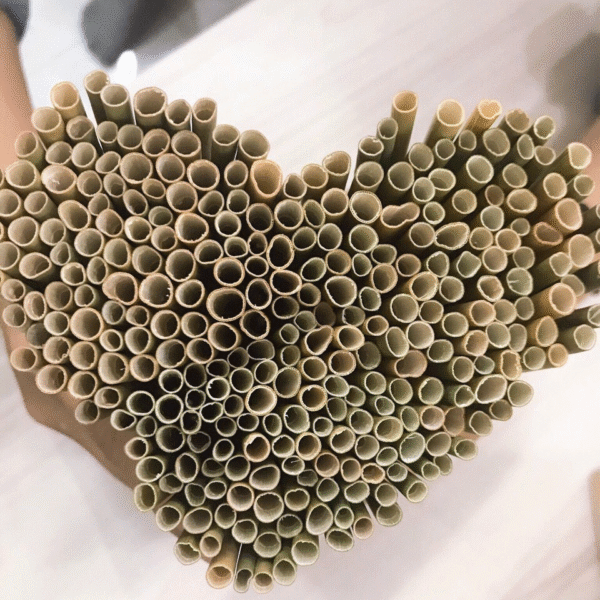 Dry grass straws – Cheap – high quality, can be used with many types of drinks - Image 3